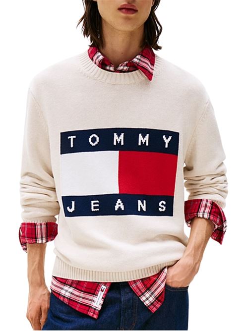 Maglioncino in cotone con bandiera Tommy Jeans | DM0DM22105AFN